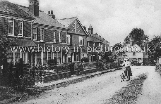 Castle Street, Ongar, Essex. c.1905